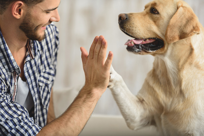 Animal Assisted Therapy: Uses, Benefits, Types and More