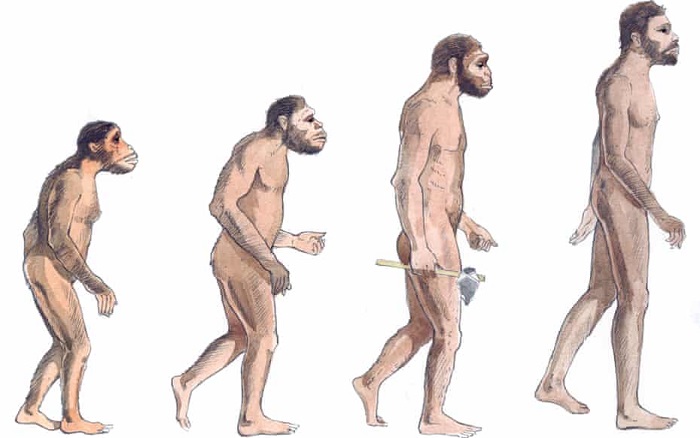Evolutionary Psychology: What it is, Principles and Research Areas and Stages