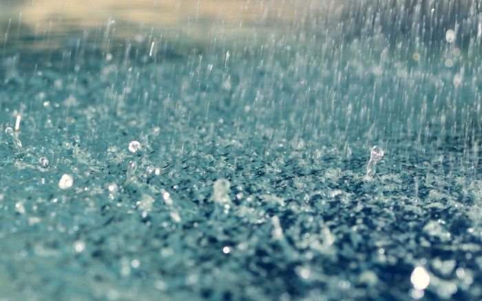 Fear Of Rain